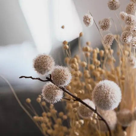 Mit Bester Aussicht/lage *